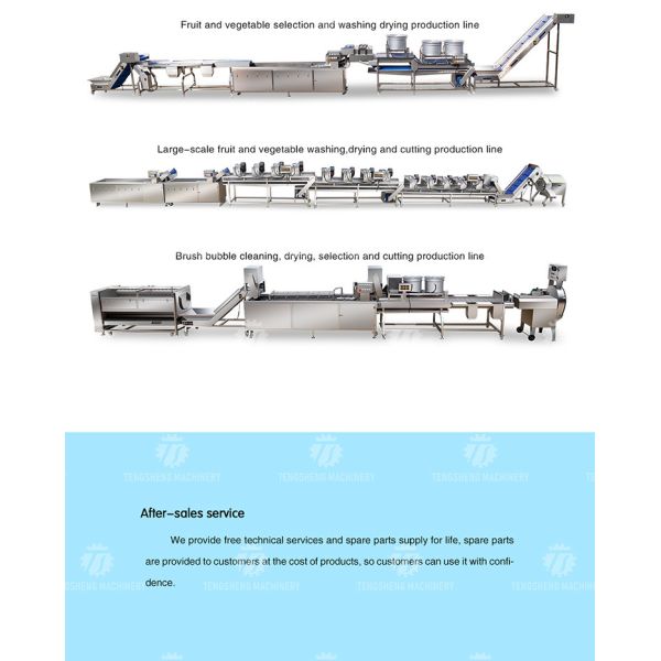 185KG Wood melon half machine automatic fruit and vegetable half machine stainless steel vegetable half machine