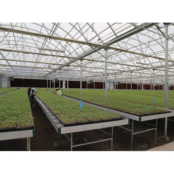Expanded Metal for Greenhouse Seedbed Top Panels 