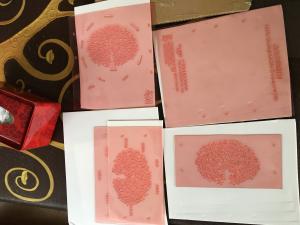 Wholesale High Resolution Flexo Printing Resin Board Imaging Shimei Digital Plates from china suppliers