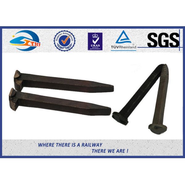 Q235 35# 45# Railroad Tie Screw Spike Timber Spike Rail Dog Spike