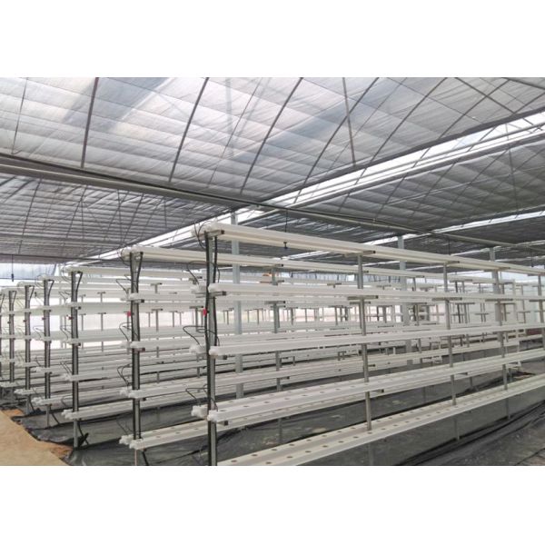 Vertical Automated Pvc Nft Hydroponics System Nft Hydroponic Farm