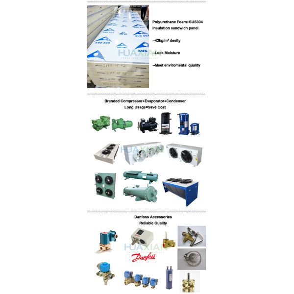 Industrial Logistics Fish/Seafood/Meat/Chicken Freezer Cold Room Construction for Frozen Food