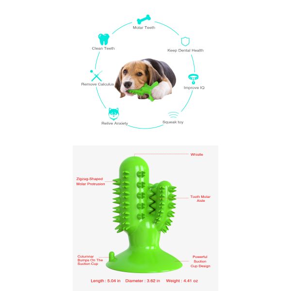 Cactus Dog Teeth Cleaning Chew Toy Squeaky Rubber Relieve Anxiety TPR OEM