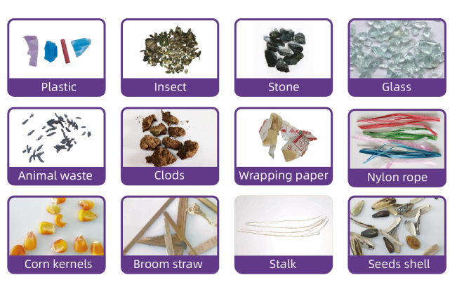 Sales Service Provided Color Sorting Machinery For Processing Wheat