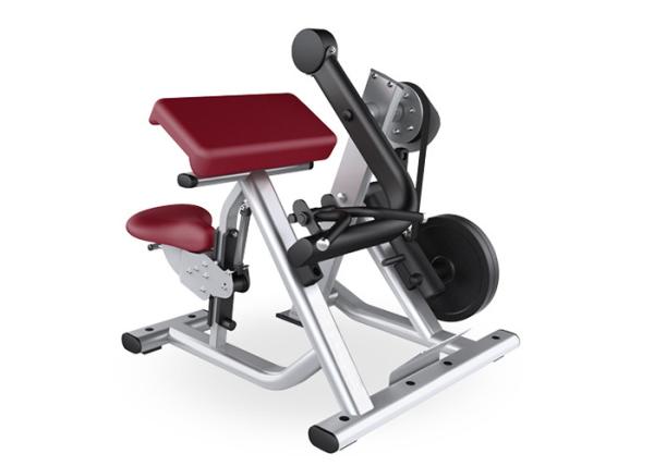 Quality Training Hammer Strength Plate Loaded Bicep Curl High Load Capacity Heavy Duty for sale