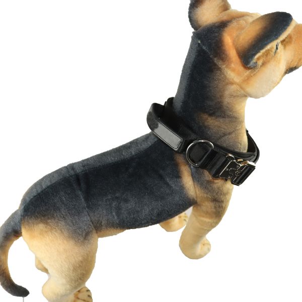 40 Inch 32 Inch Cute Dog Collars 30cm 75cm X Xs Xl Personalized Dog Collar Luxury