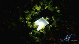 China 50W White LED lawn light, LED garden lamp, LED floodlight, billboard light, project light on sale