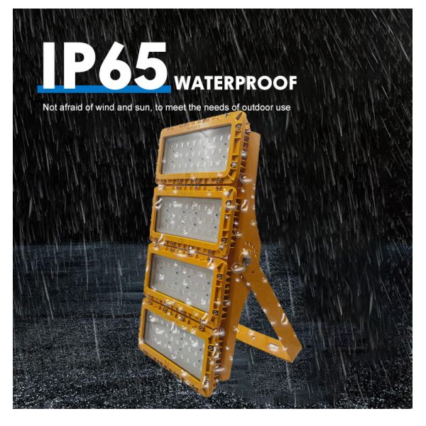 5500K-6500K Atex Led Lighting Explosion Proof Emergency Light SMD2835/3030