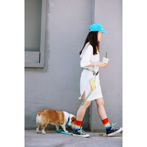 10 Ft Quick Release Hunting Dog Leash Polyester Fabric American Style