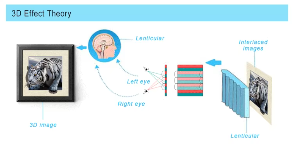 Daily Use Good Quality Made In China Eco Friendly PET Durable Custom Sheets 3D Lenticular Spiral Notebook