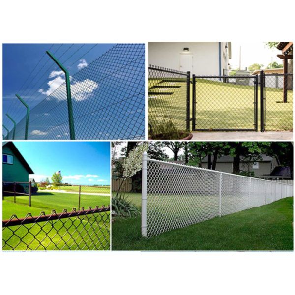 6 Feet High 3mm Diamond Chain Link Fence Pvc Coated Cyclone Wire Mesh