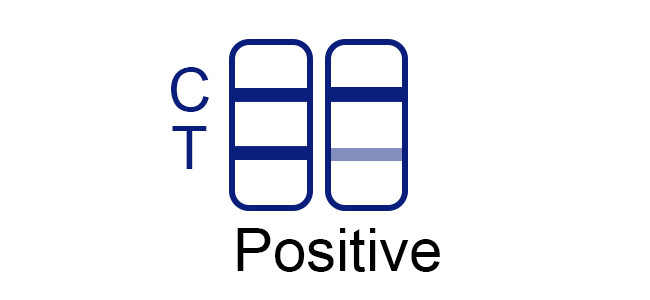 SARS-CoV-2 Ag Swab Test Kit 1 Tests/Kit CE Rapid Antigen Swab Test Kit Specificity 100%