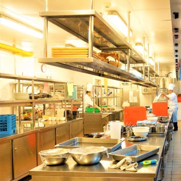 Large Power Snowflake Ice Machine With 220Kg Ice Storage For Home With Good Service