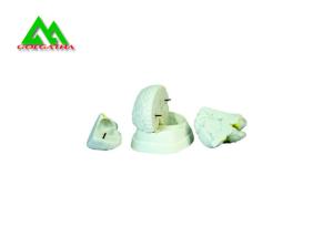 China Natural Looking Human Anatomical Brain Model For Medical Students on sale