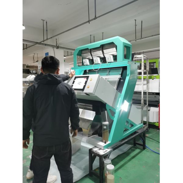 Automatic High Sorting Performance Walnut Color Sorter Kernel And Shell Separation
