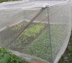 PE Vegetable Protecting Net / Mosquito Net Machine High Production Efficiency