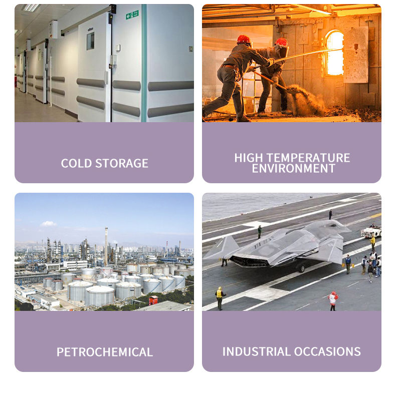 UBWH-D High Precision Industrial Grade Wall Mounted Controller for Humidity and Temperature sensors