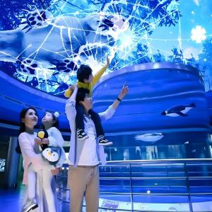 Wholesale Customizable Magic Sky Screen Hologram Canopy Projection Interactive Projector from china suppliers
