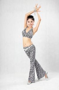 Wholesale 2pcs Animal Printed Belly Dance Training Wear With Pants & Bras Belly Dance Clothes from china suppliers