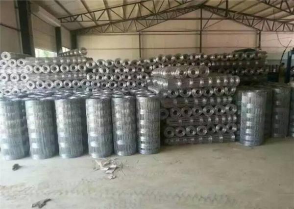 Iron Security Hard Square Wire Mesh Fencing Apply In Sheep Chicken Custom Made