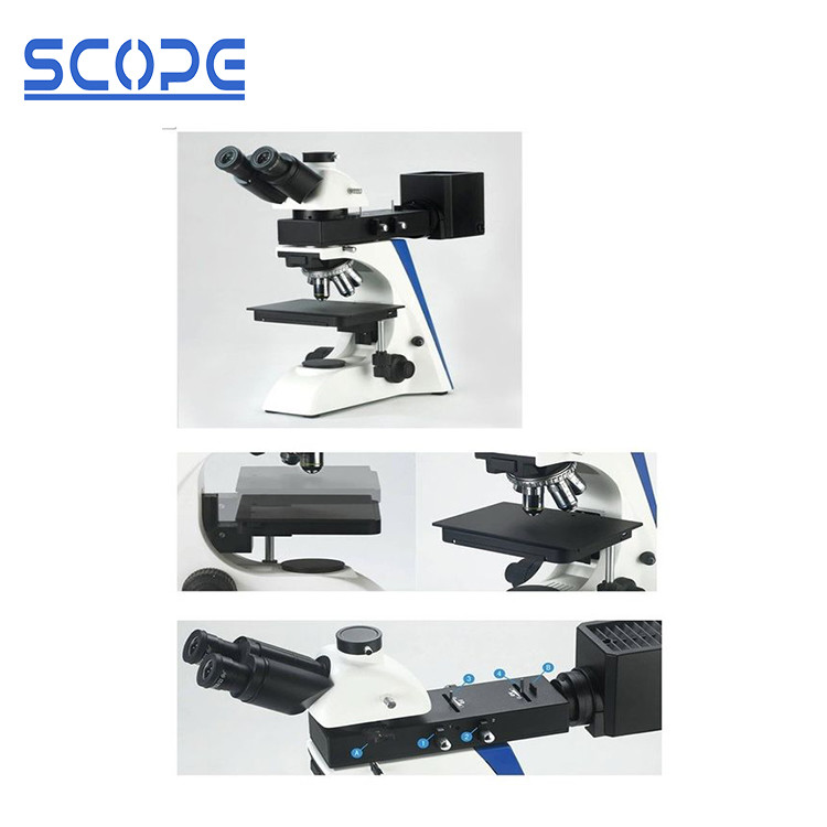 Wholesale Infinity Optical Upright Metallurgical Microscope Long Working Distance Objective from china suppliers