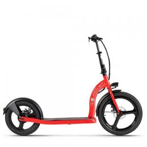 China Off Road Big Wheel Electric Scooter With Pedals Assisted RICH BIT H100 Front 20 Rear 16 on sale