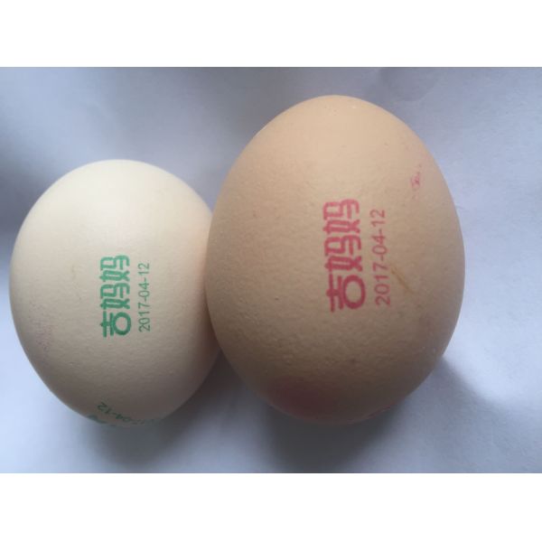Continuous Eggs Automatic Batch Coding Machine With 0mm - 5mm Printing Distance