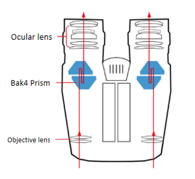 Waterproof 8x32 ED Binoculars , Bak4 Prism Long Eye Relief Binoculars