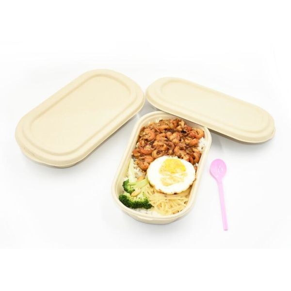 1000ml Biodegradable Straw pulp food container 2 compartments paper food tray with PP lid
