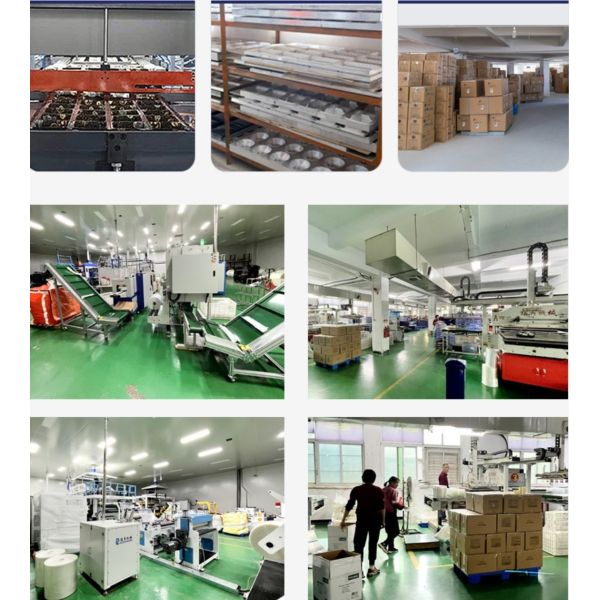 Customized reusable plastic PS black plastic greenhouse hydroponic plant planting seed water storage box