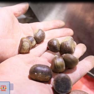 Wholesale 6 - 20 Lanes Silver Chestnuts Sorting Machine 360 Degree Rotational Scanning from china suppliers