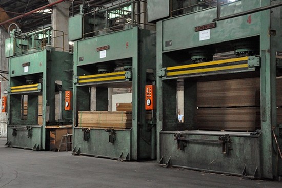 Ductility PP Decorative Film Substrate Surfaces With Misty Rain Grain