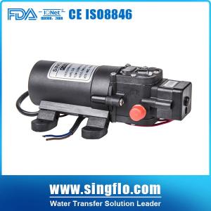 China 12v dc 2.0L/Min battery sprayer agricultural power sprayer pump on sale